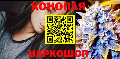 Альфа ПВП Камышлов