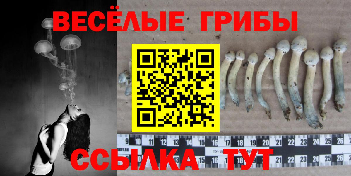Псилоцибиновые грибы Psilocybe Лесной