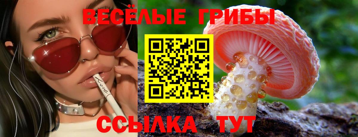 Псилоцибиновые грибы мухоморы  Галлюциногенные грибы мухоморы  Лесной  наркотики  Вход с VPN 